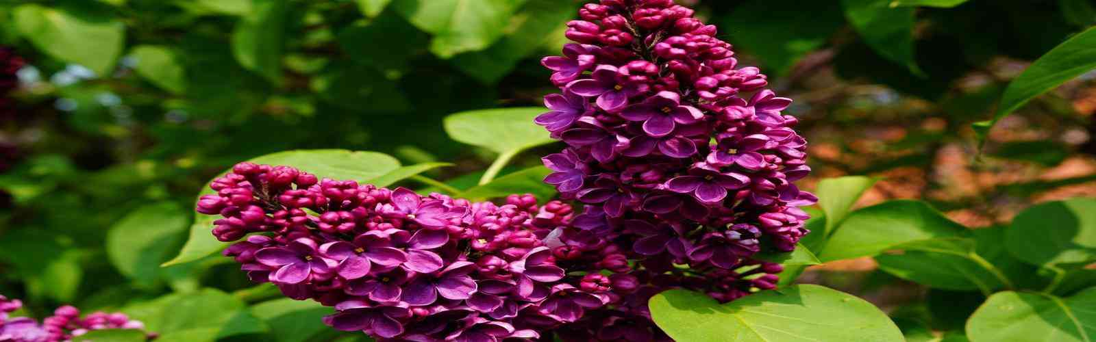 6731· mo顶级游戏娱乐